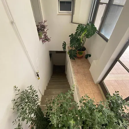 Casa 1960 *